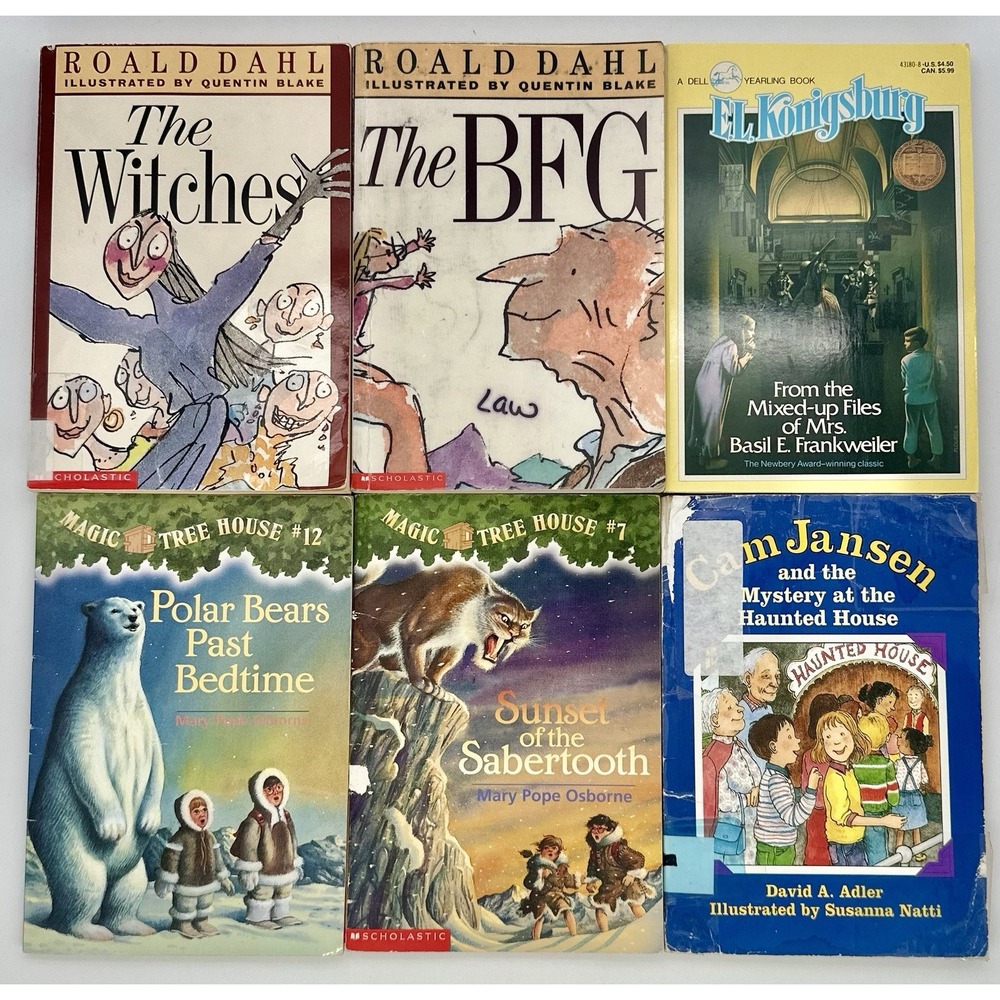 6 Kids Chapter Book Lot Roald Dahl BFG Witches Magic Tree House Cam Jansen